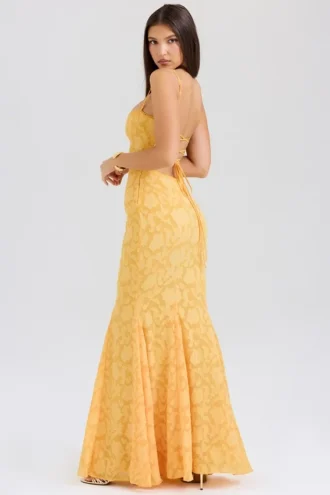 Joan Apricot Lace Up Back Maxi Dress